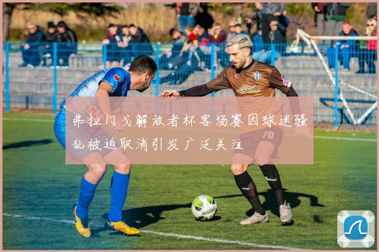 弗拉门戈解放者杯客场赛因球迷骚乱被迫取消引发广泛关注