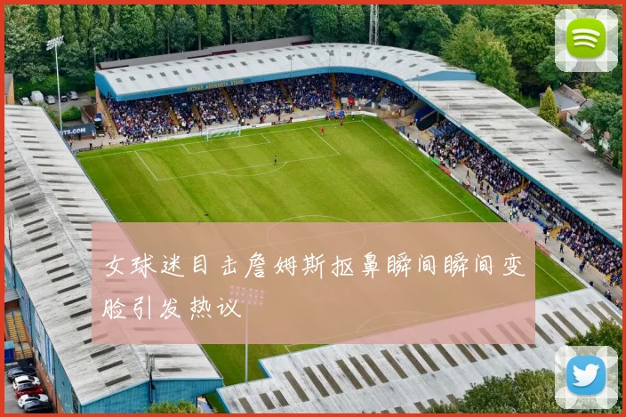 女球迷目击詹姆斯抠鼻瞬间瞬间变脸引发热议